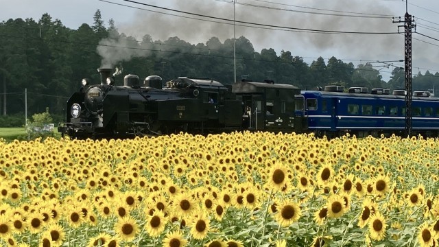 願いをのせて、縁日へ。日光の新たな魅力の発見